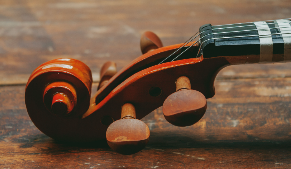 Close-up of a violin scroll and tuning pegs