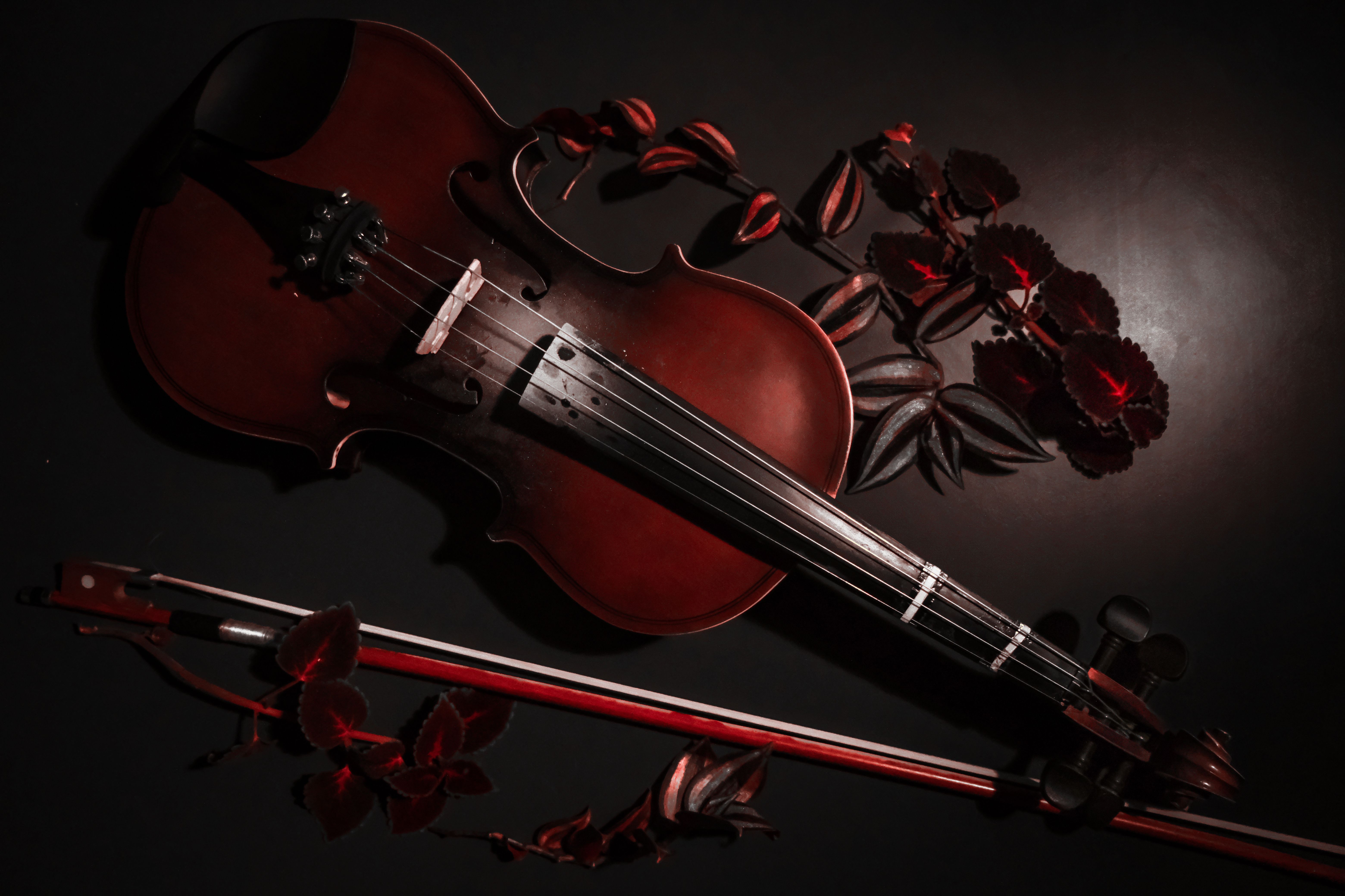 Violin and bow surrounded by dried roses in low light