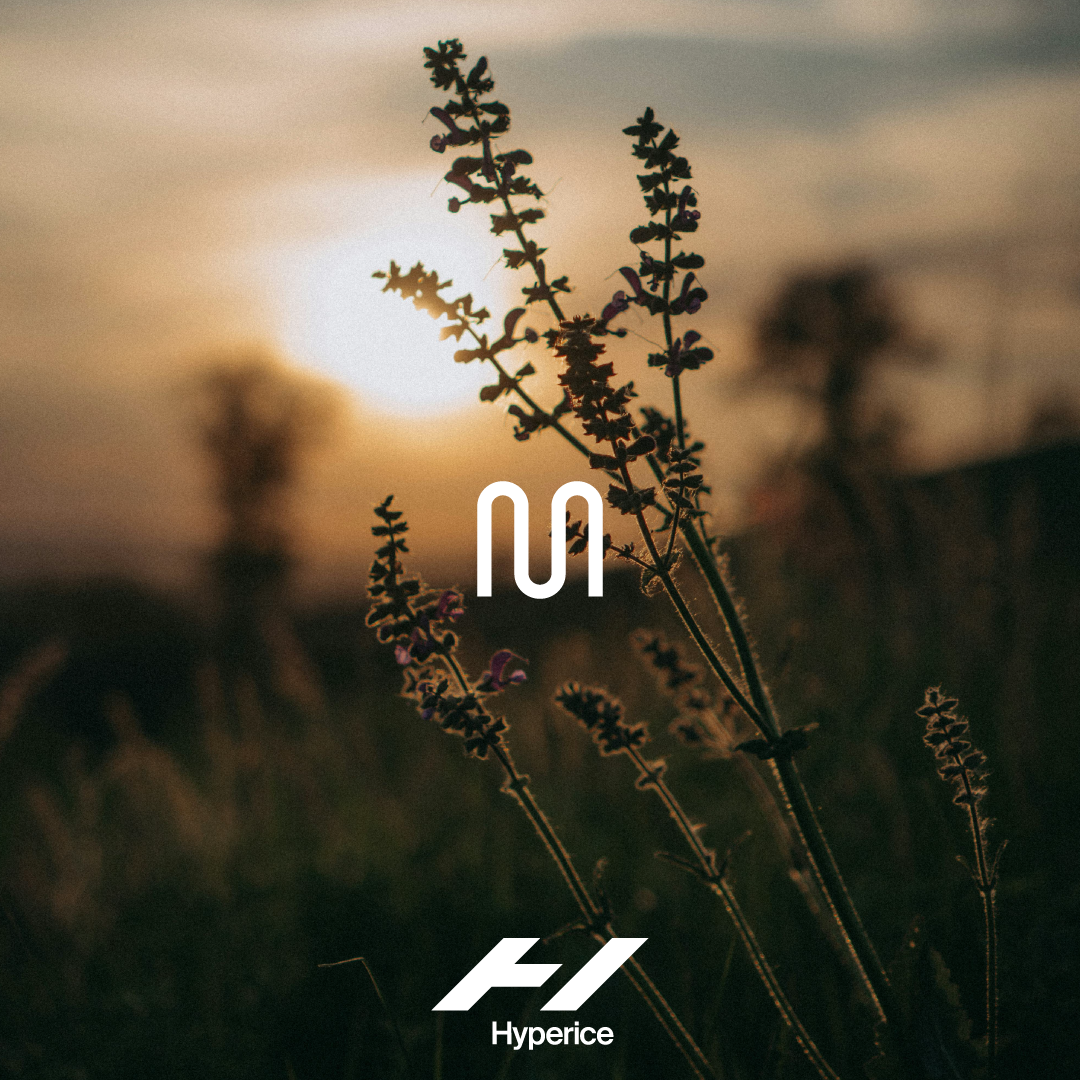 Recovery playlist artwork for Hyperice, golden grasses at sunset